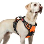 rabbitgoo Dog Harnesses for Large Dogs, No Pull Pet Harness with 3 Buckles, Adjustable Soft Padded Dog Vest with Instant Control Handle, Easy Walking Reflective Pet Vest, Orange, L