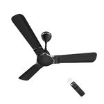 Indoor Ceiling Fans