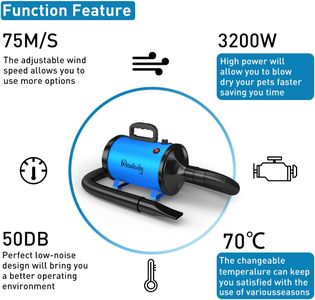 Blanlody Dog Hair Dryer 3200W – High Power Pet Grooming Blower