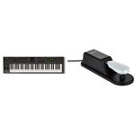 Nektar Impact LX61+ USB MIDI Keyboard Controller with DAW Integration & NP-2 Piano Style Sustain Pedal - Black,3.15 x 3.86 x 11.42 inches