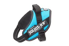 Julius-K9, 16IDC-AM-MM, IDC Powerharness, dog harness, Chest circumference: 40 -53 cm, Weight of the dog: 4-7 kg, Aquamarine