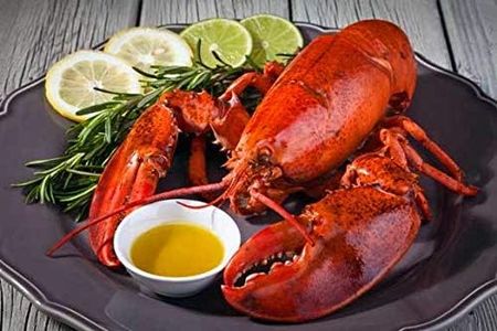 Live Maine