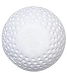 GDON Hockey Truf Match Practice Balls (White)