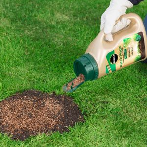 Miracle-Gro Patch Magic Grass Seed with Feed & Coir, 1015g – Green