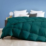Day Care - 600 GSM Hotel Quality-Down Alternative Microfiber Comforter for Heavy Winter Double Bed Comforter/Blanket/Rajai (90" x 100" Inches/228cm x 228cm) - Comforter Double Bed|Teal
