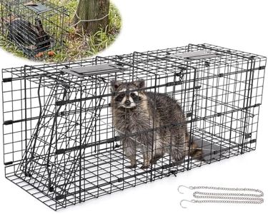 Live Animal Trap Cage, 32" Raccoon Large Traps Detachable into 16" Small Box Trap for Groundhog, Stray Cats Humane Rodent Cage Indoor & Outdoor Heavy Duty Foldable Steel Cat Catcher Catch Release