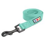 Pawtitas 6 FT Dog Soft Adjustable Solid Color Medium Nylon Leash Puppy - Large 1.8 M Lead Teal | Matching Collar and Harness Sold Separately | Laisse Pour Chien réglable de Couleur en Nylon