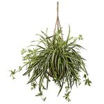 Nearly Natural 6846 Spider Plant Hanging Basket