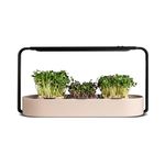 ingarden – Superfood Growing Kit | Indoor Garden with 3 Microgreen Seed Pads | Automated LED Grow Lights | Hydroponic Watering System | Stainless Steel Frame | Ceramic Bowl | Beige