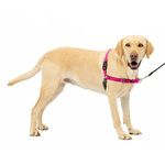 PetSafe Easy Walk Dog Harness, No Pull Dog Harness – Perfect for Leash & Harness Training – Stops Pets from Pulling and Choking on Walks – Raspberry/Gray, Large