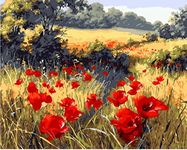 YEESAM ART Paint by Numbers for Adults Beginner, Poppies Wildflowers 16x20 Inch Linen Canvas Acrylic DIY Number Painting Kits for Home Wall Decor (Poppies, Without Frame)