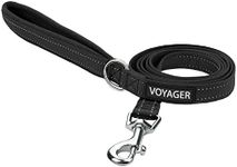 Voyager Reflective Dog Leash with N