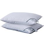 ANALIN 2 pack Goose Feather Down Pillows, 100% Cotton Shell, Non-allergenic & Anti dust mite, Soft Hotel Quality Pillows (50% Goose Down)