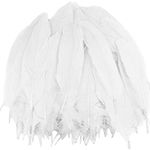 HaiMay 200 Pieces Colorful Feathers for Craft Wedding Home Party Decorations, 6-8 Inches White Craft Feathers