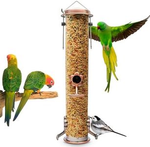 Bird Feede