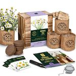 Indoor Herb Garden Seed Starter Kit - Herbal Tea Growing Kits, Grow Medicinal Herbs Indoors, Lavender, Chamomile, Lemon Balm, Mint Seeds for Planting, Soil, Plant Markers, Pots, Infuser, Planter Box