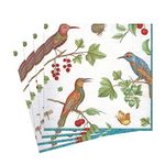 Entertaining with Caspari Jeweled Birds Luncheon Napkins, Ivory