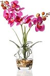 Jusdreen 1 Pcs Glass Vase Artificial Orchid Flower Bonsai Vivid Phalaenopsis Flowers Potting for Home Office Décor, Table Centerpiece Room Decorations 14.5"(Glass Vase/Purple Orchid)