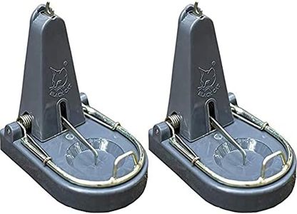 Black Cat Rat Trap: Mouse Catch (Grey, 1 Rat Trap) & Metal and Plastic Rodent Rat Trap (Grey, Medium) Combo