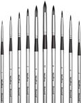 Nicpro 10 PCS Watercolour Paint Bru