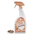 Carpet Beetle Killer Spray 650ml - Powerful Insecticide for Beetles Spray, Carpet Beetle Treatment - Long-Lasting Protection from Beetles, Larvae & Eggs - Fast-Acting Carpet Beetle Spray