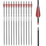 30 inch Carbon Arrow Hunting Arrows