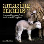 Amazing Moms: Love and Lessons From