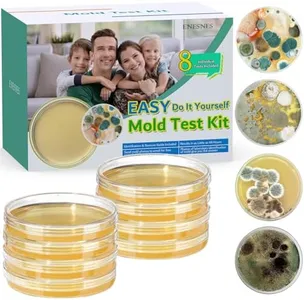 Mold Test 