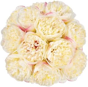 U'Artlines 20 Heads Artificial Peony Silk Flower Leaf Home Office Wedding Party Festival Bar Decor (Champagne)