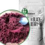 Pure Natural Blackberry Powder No Additives | Freeze Dried Fruit Powder for Superfood Smoothie, Cocktails, Baking, Cake Decorations | Natural Pure Dried Fruit Milled to Superfood Powder