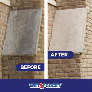 Wet & Forget Rapid Outdoor Cleaner 2L – Mould, Algae & Black Spot Remover, Bleach Free