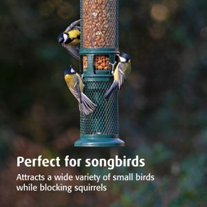 Jacobi Jayne Squirrel Buster Bird Feeder – Squirrel-Proof, Large Capacity