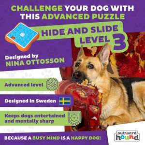Outward Hound Challenge Slider Dog Puzzle Toy – Interactive Treat Game