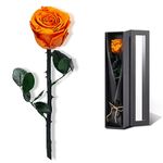 Preserved Rose, Preserved Flowers for Delivery Prime, Single Rose Flower Gifts for Women, Real Rose Gifts for Her, Birthday Gifts, Valentines Flowers for Girlfriend - Dark Orange Rose