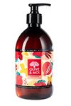 Liquid hand soap pomegranate and ginger - 16.9 Fl Oz Organic extra virgin olive oil mix with organic coconut oil with pomegranate and ginger scent - Liquid apothecary handsoap that is aromatic and nourishing - Made in France