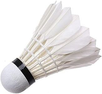 Badminton 