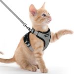 rabbitgoo Cat Harness and Leash for Walking, Escape Proof Soft Adjustable Vest Harnesses for Small Medium Cats, Easy Control Breathable Reflective Strips Jacket, XXS, Grey