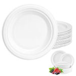 100Pack Disposable Paper Plate Heavy Duty Paper Plates 10 inch,Extra Strength White Disposable Paper Plate for hot food Super Rigid Strong Plates Bagasse Plates 25.4cm for Christmas,Birthday,Picnic