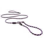 EzyDog Luca All-in-One Slip Collar Climbing Rope Dog Leash Combo - Best Dog Lead for Control, Training, Correction, and Exercising - Perfect for Small Dogs (Lite, Purple)
