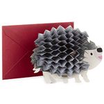 Hallmark Pop Up Birthday Card (3D Honeycomb Hedgehog)