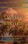 By the Waters of Babylon: A Captive’s Song – Psalm 137: 2