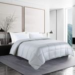 HOMBYS Lightweight Cooling Comforter Queen Size,100% Rayon Derived from Bamboo Shell Down Alternative Duvet Insert,Light Grey Soft Summer Comforter for Hot Sleepers,8 Corner Tabs