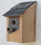 Bird House Nesting Box - 32mm Hole Sparrow Great Tits