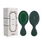RHOS Mini Travel Hair Brush for Women/Men/Kids - Pocket Detangler Brush for Wet and Dry Hair - Travel Size Paddle Brush for Detangling- For All Hair Types (1 Pack-Green)
