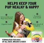 Mushroom Complex Treats for Dogs with Reishi, Shiitake, and Turkey Tail Mushrooms for Cognition and Immune Boosting Supports Digestive Health and Reduces Inflammation DHA EPA Turmeric Kelp 30 Chews