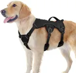 rabbitgoo Escape Proof Dog Harness,
