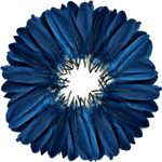 FeelfunFeather 120pcs Navy Blue Goose Feathers 6-8 Inch 15-20cm Decorative Natural Feather Bulk for DIY Crafts Wedding Party Home Christmas Halloween Decorations Goose Nagoire Feathers