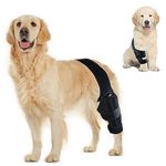 Knee Protection For Dogs