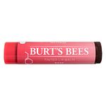 Burt's Bees Tinted Lip Balm, Rose, 0.15 Ounce (Pack of 4)