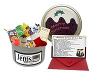 Survival Kit In A Can Humorous Christmas Fun Xmas Gift For A Brother/Sister/Brother In Law/Sister In Law. Christmas Pudding Stocking Filler Present & Card Gift Set. Perfect To Say Happy Ch